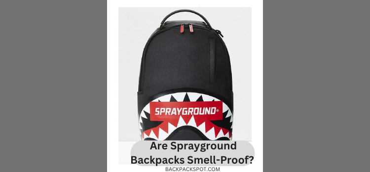 Are Sprayground Backpacks Smell-Proof? Unveiling the Truth
