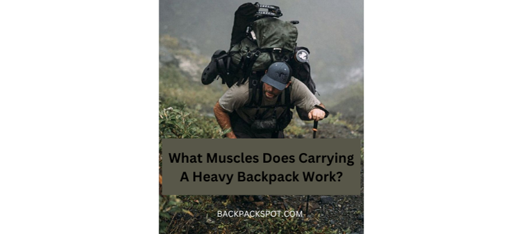 What Muscles Does Carrying A Heavy Backpack Work? (Detailed Guide)