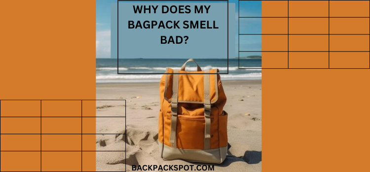 Why Does My Backpack Smell Bad? 5 Reasons