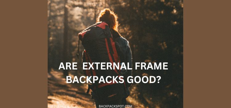Are External Frame Backpacks Good? (In-Depth Explanation)